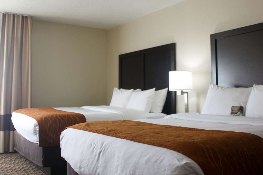 Comfort Inn Matteson - Chicago Номер фото
